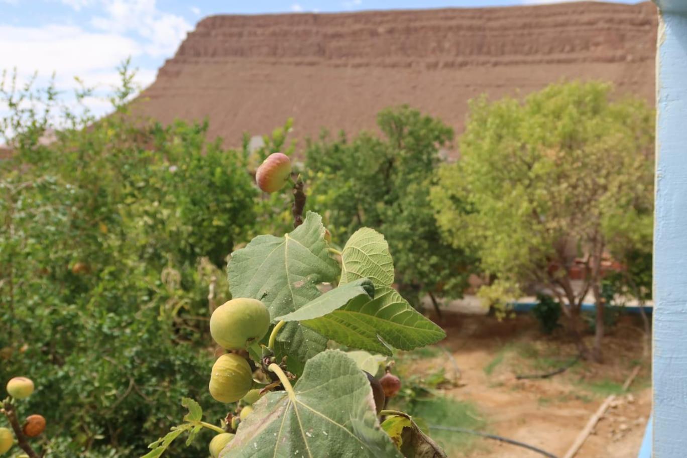 Gite D'Etape Ziz Oasis Achbarou Luaran gambar