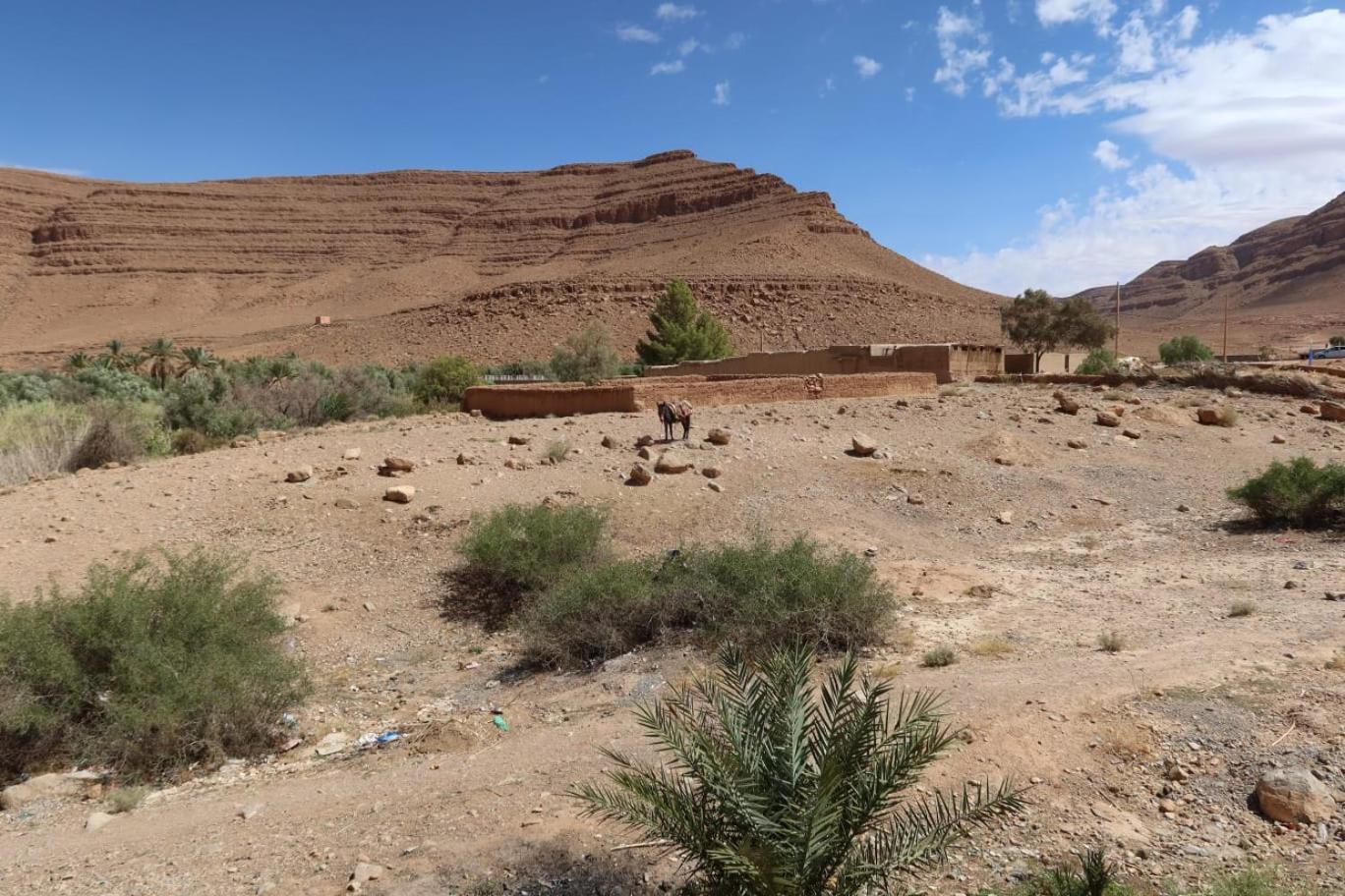 Gite D'Etape Ziz Oasis Achbarou Luaran gambar