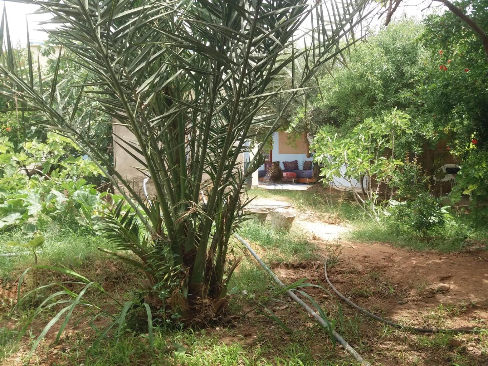 Gite D'Etape Ziz Oasis Achbarou Luaran gambar